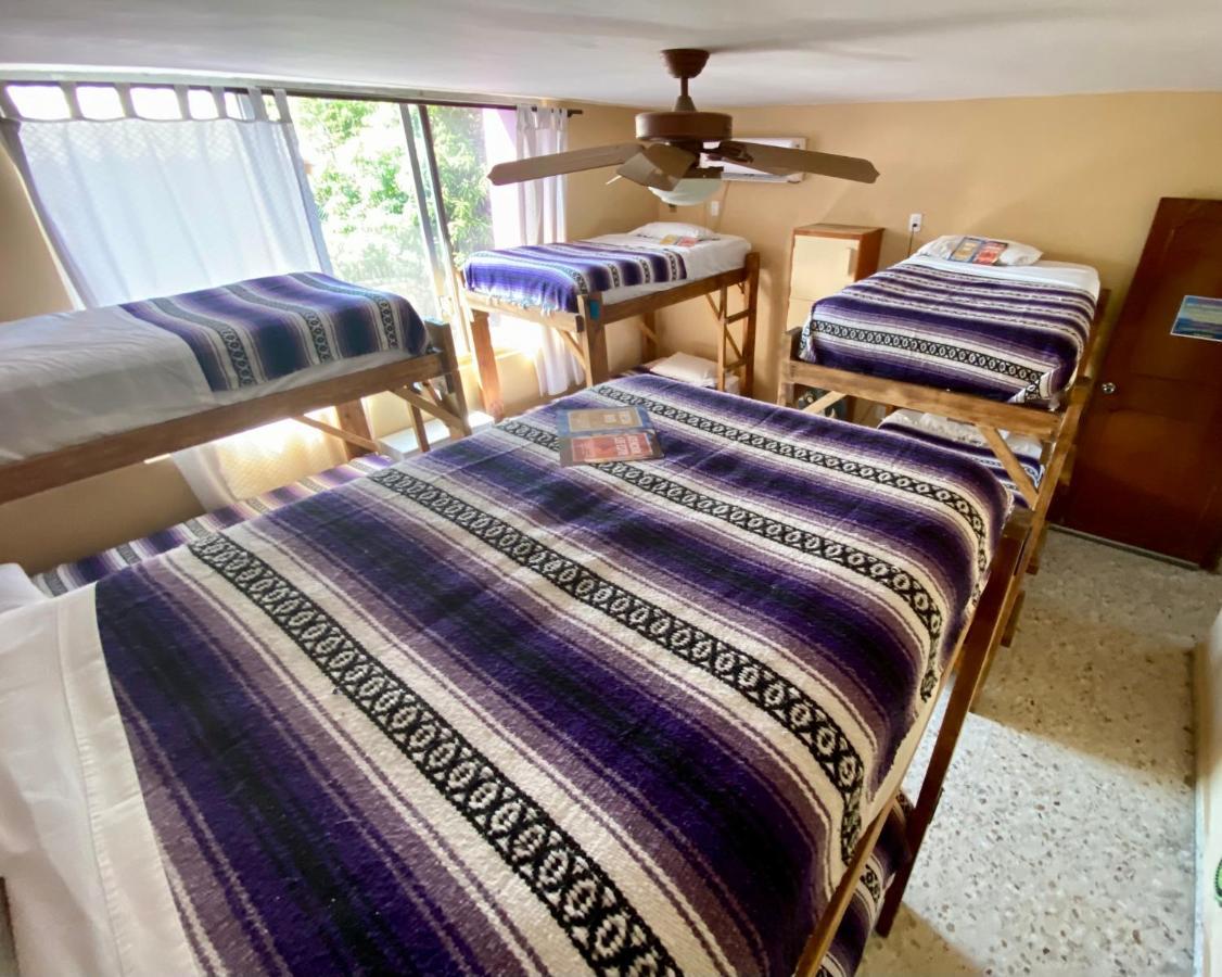 Wandering Monkey Guesthouse มาซาตลัน ภายนอก รูปภาพ