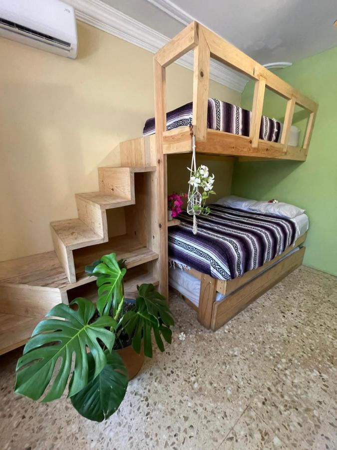 Wandering Monkey Guesthouse มาซาตลัน ภายนอก รูปภาพ