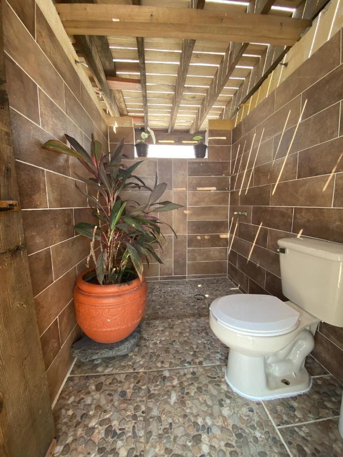 Wandering Monkey Guesthouse มาซาตลัน ภายนอก รูปภาพ