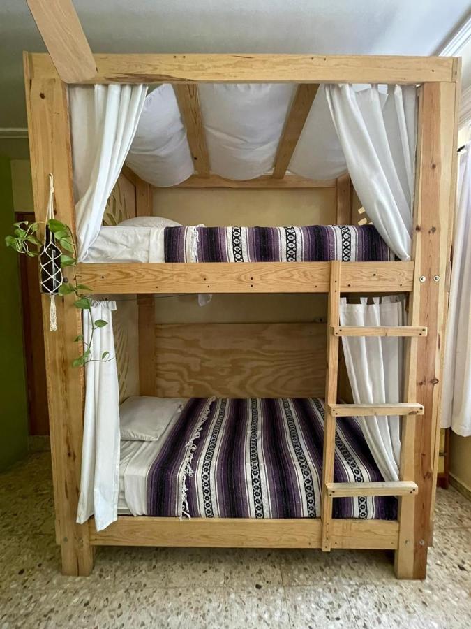 Wandering Monkey Guesthouse มาซาตลัน ภายนอก รูปภาพ